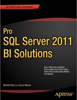 pro sql server 2012 bi solutions randal root caryn mason 1st edition