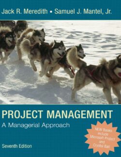 project manager a managerial approach