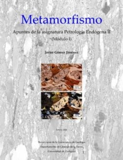 metamorfismo javier gomez 1ra edicion