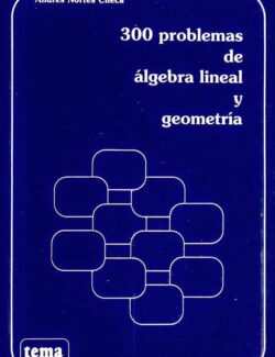 300 problemas de algebra lineal y geometria andres nortes checa 2da edicion