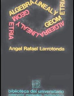 algebra lineal y geometria angel rafael larrotonda 1ra edicion