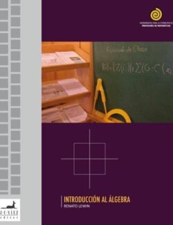 algebra version preliminar renato a lewin 1ra edicion