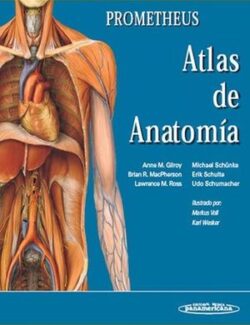 Prometheus Atlas de Anatomía – Anne M. Gilroy – 1ra Edición