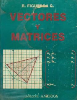Vectores y Matrices – Ricardo Figueroa Garcia – 2da Edicion